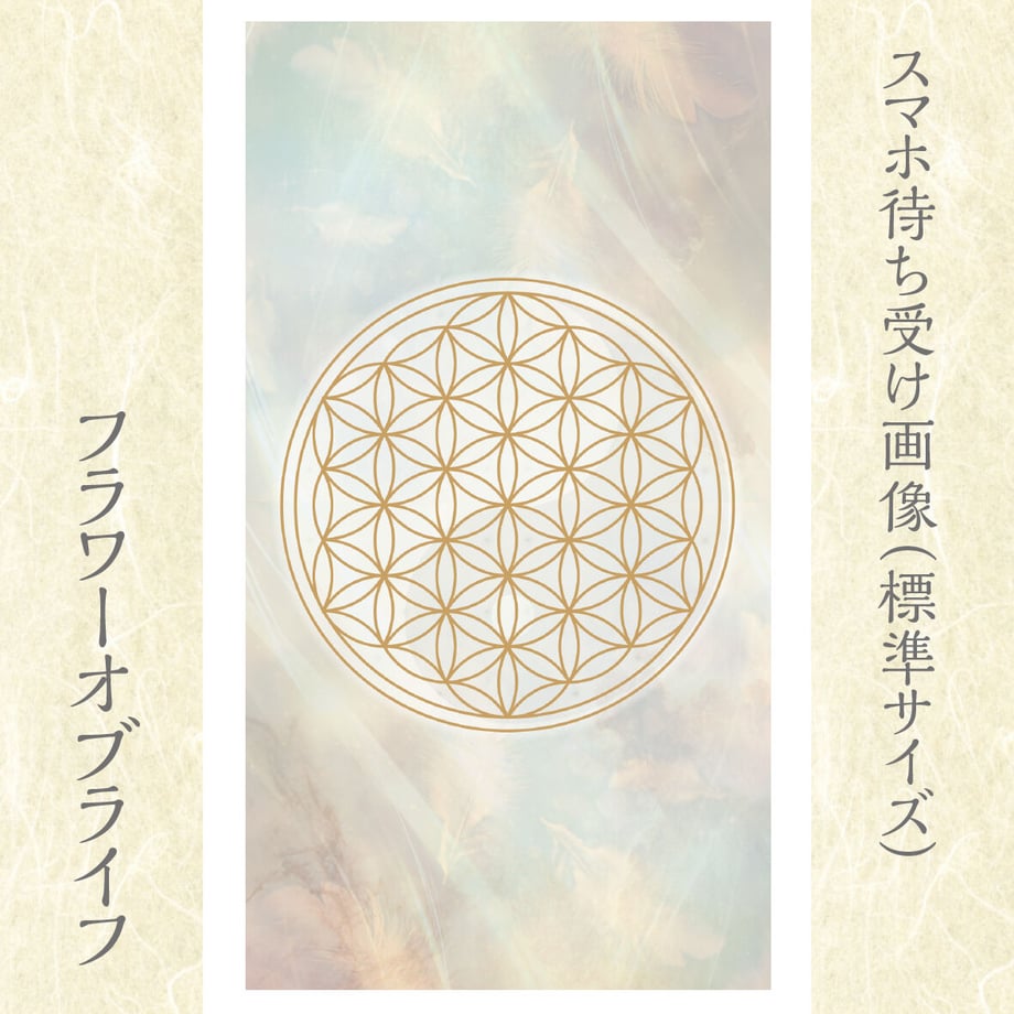 649a800ce02e43002b3e4d1b