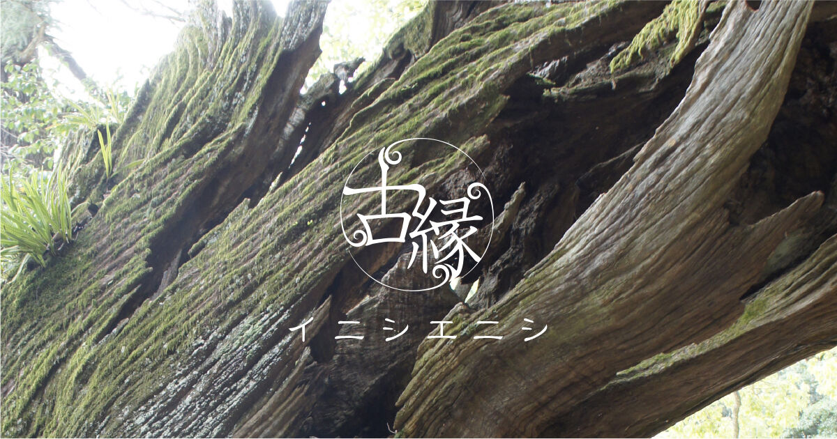 イニシエニシ