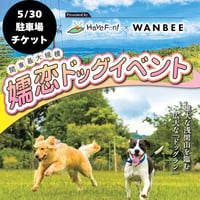 5/30スキー場駐車場チケット（限定1200台）