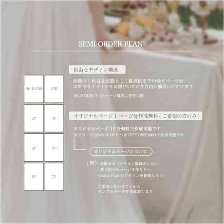 Semi Design4