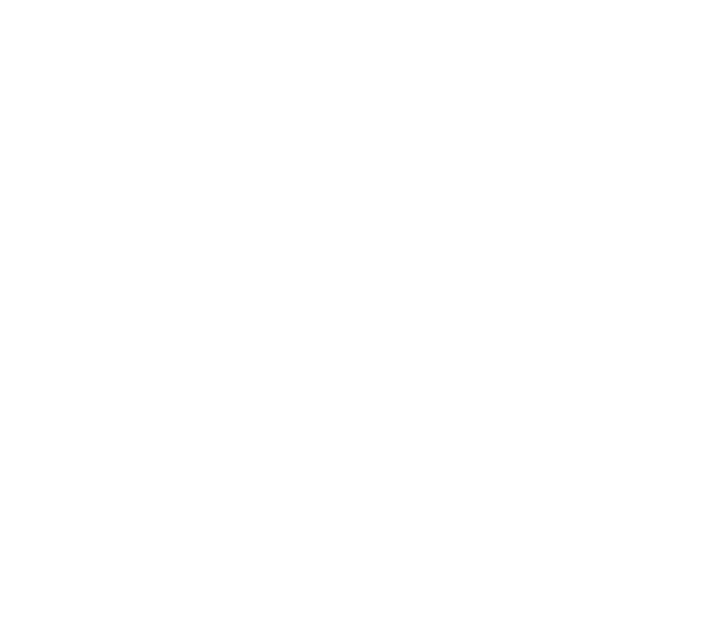 ハウススダチ(二級品) 9.2kg超 compass1718433471.jpg