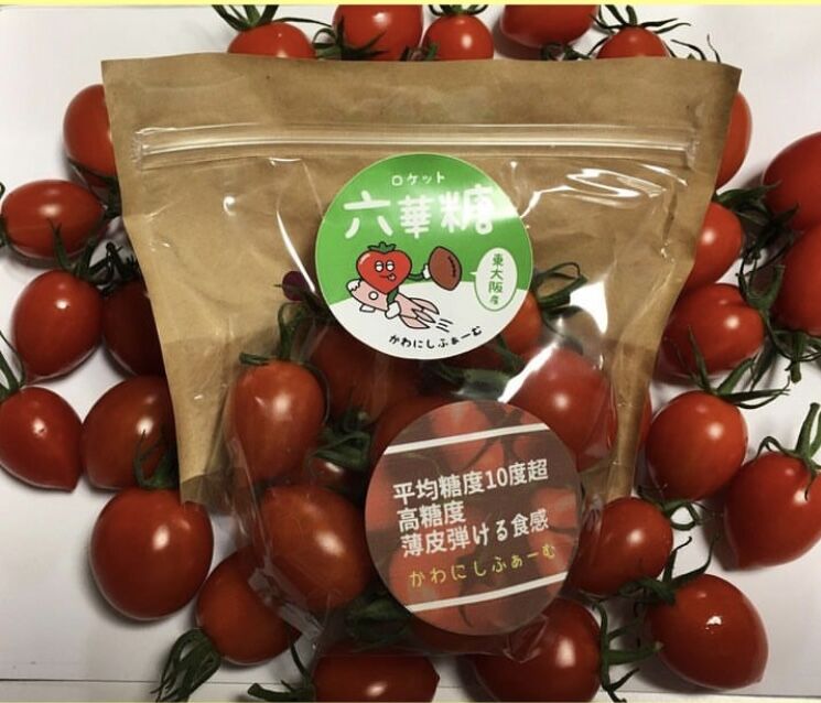 トマトです Amazon.co.jp: 接木 野菜 苗 6個 セット うす皮鈴なりさくらんぼ
