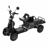 BLAZE e-CARGO(ﾌﾞﾚｲｽﾞｲｰｶ-ｺﾞ)車体L1900｜4輪・特定小型原付