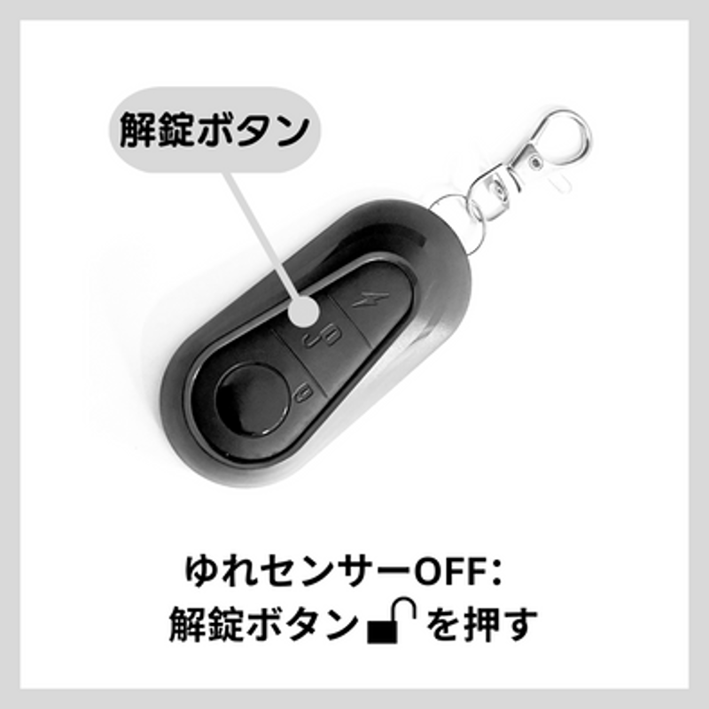 karimeroさま専用 単品購入不可)ZERO9/ZERO9 Lite用リモートキー+イモビライザー | 【E-WA