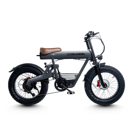 CATEGORY COSWHEEL/コスウェル | 【E-WALK Mobility】電動キッ