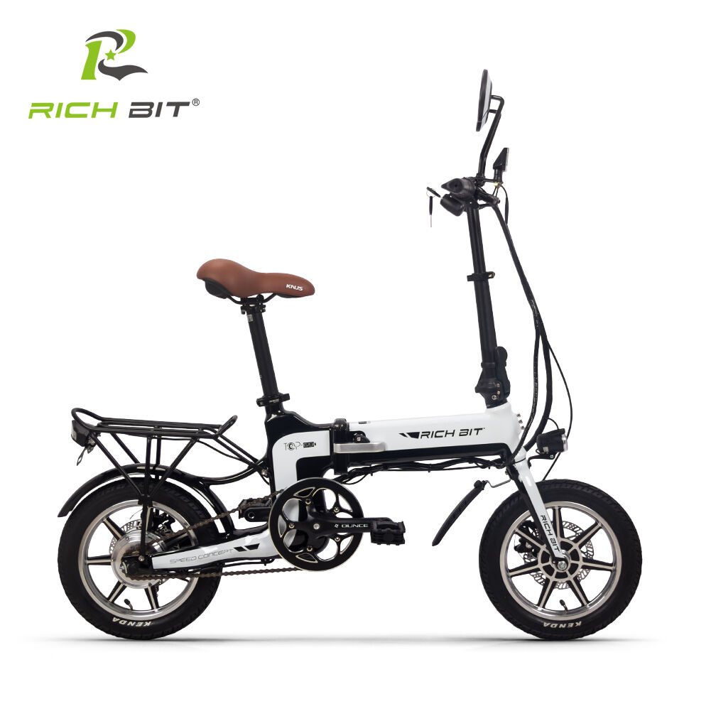 RICH BIT TOP 619 電動アシスト自転車 fit=scale-down,w=1200