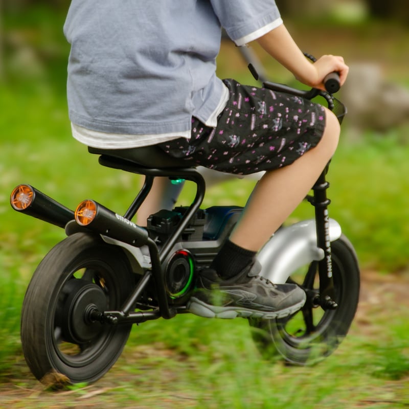 EVEREST XING emove 子供用電動バイク 大人も楽しめるミニバイク