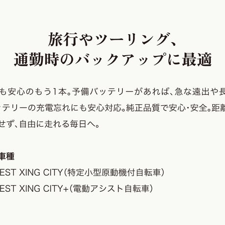 EVEREST XING CITY 純正 / 予備バッテリー