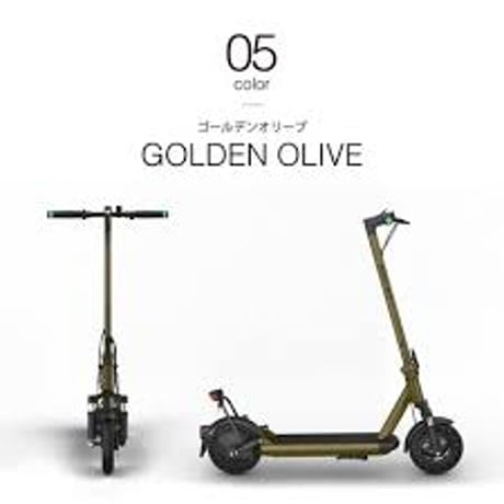 RICHBIT ES２ Pro（リッチビット)/特定小型原付（20キロ/6キロ）免許不要 電動キックボード