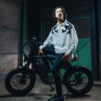 CAVET Ⅱ電動アシスト自転車 move