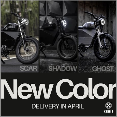 XENIS(ゼニス)/電動アシスト自転車/※納期6月納品予定