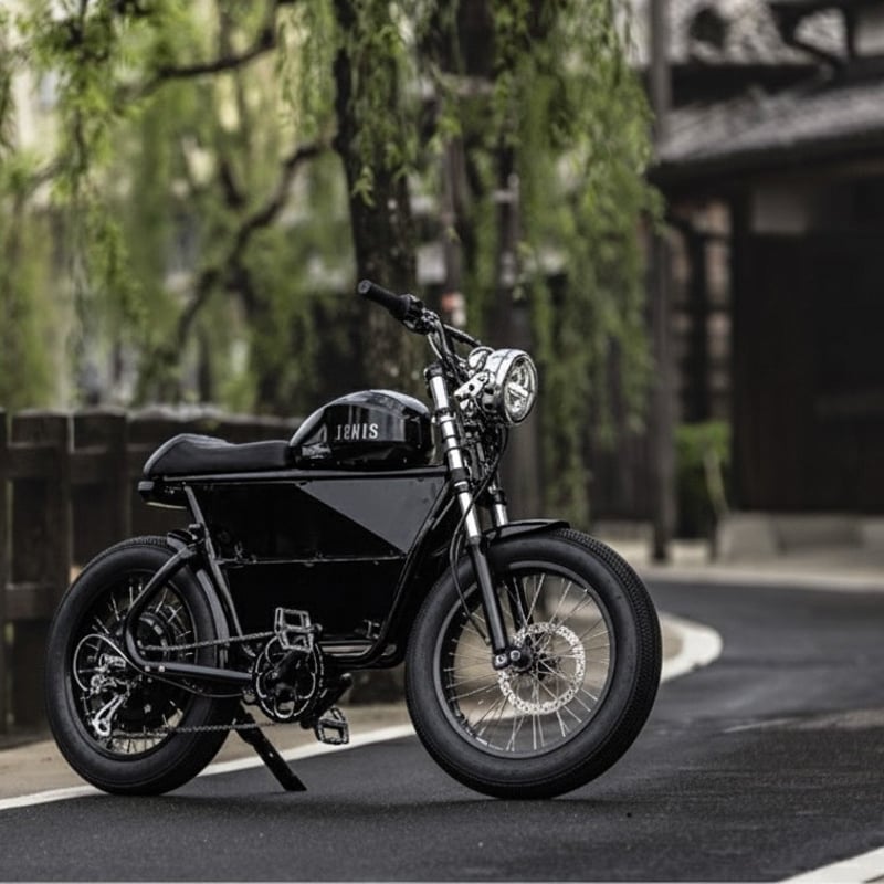 購入予約受付中/1月～2月中納車予定】XENIS(ゼニス)/電動アシスト