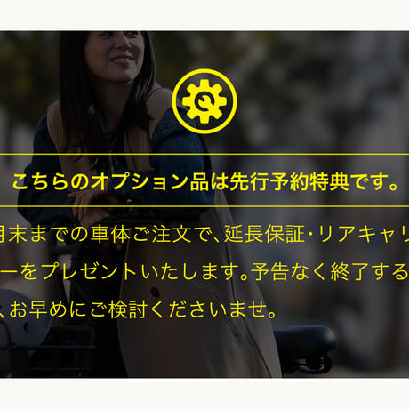 EVEREST XING CITY 純正 / リアキャリア