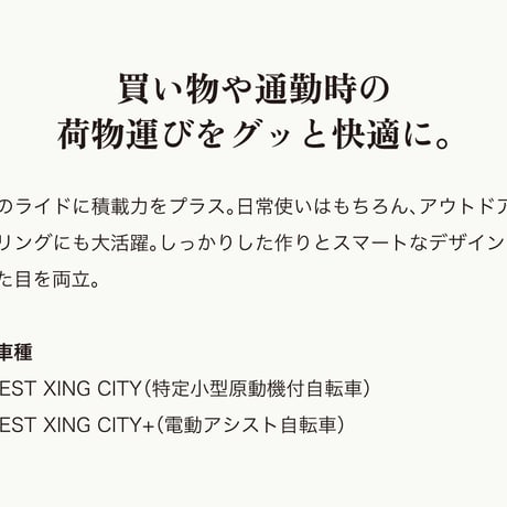 EVEREST XING CITY 純正 / リアキャリア