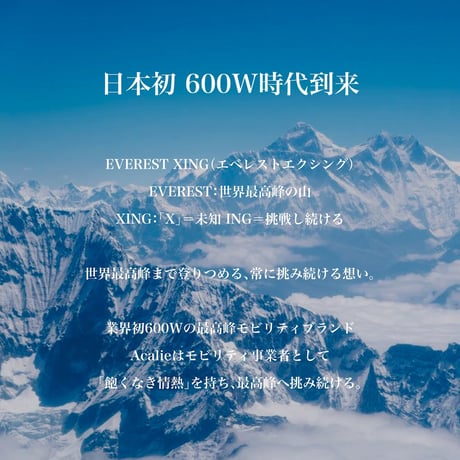 Everest Xing EX15(エベレストエクシング)/（20キロ/6キロ）免許不要 電動キックボード