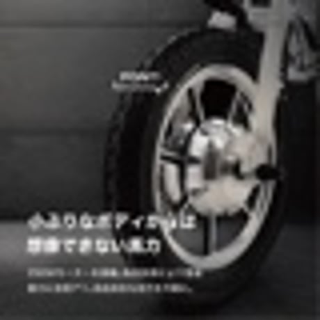 【アウトレット】「RICHBIT CITY」電動アシスト自転車モデル