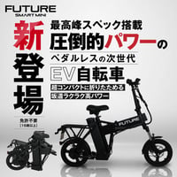 FUTURE META 14インチ（特定小型原付）