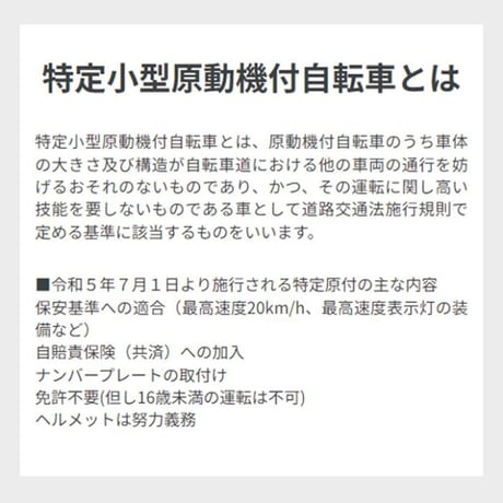 BLAZE KICKBOARD EV Lite(ﾌﾞﾚｲｽﾞ)/特定小型原付（20キロ/6キロ）免許不要 電動キックボード
