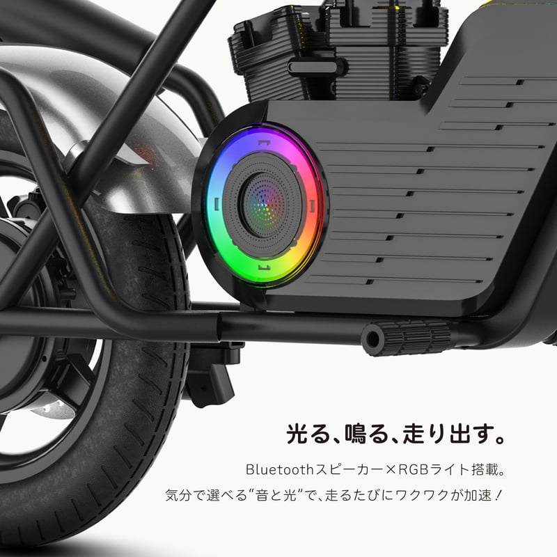 EVEREST XING emove 子供用電動バイク 大人も楽しめるミニバイク