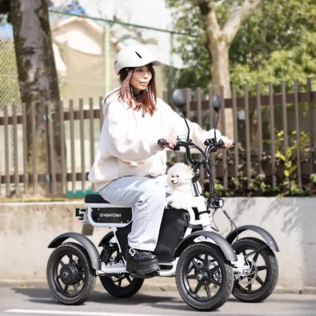 全アイテム | 【E-WALK Mobility】電動キックボード/特定小型原付/小型
