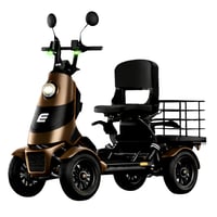 ELEGRAN F-class(エレモーズ エレグラン)/特定小型原付 免許不要