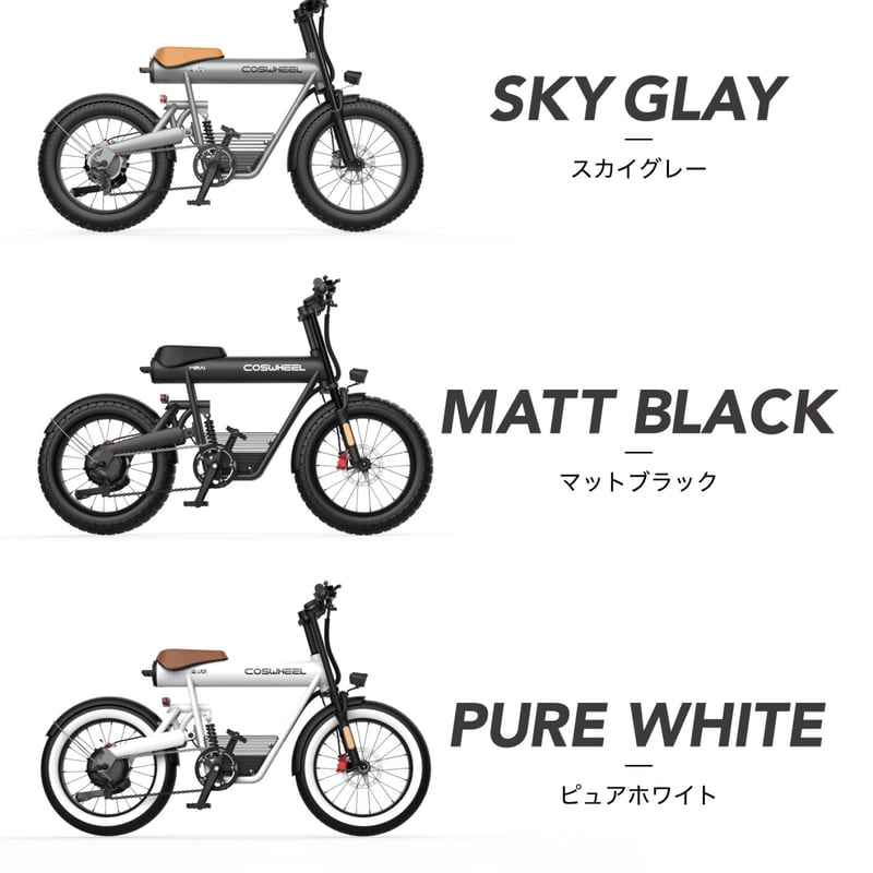 2025 NEW MODEL COSWHEEL MIRAI COMFORT 電動アシスト自転車