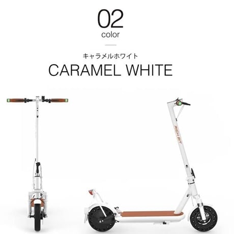 RICHBIT ES２ Pro（リッチビット)/特定小型原付（20キロ/6キロ）免許不要 電動キックボード