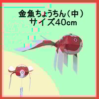 やない 金魚ちょうちん 中 サイズ40cm 屋内用
