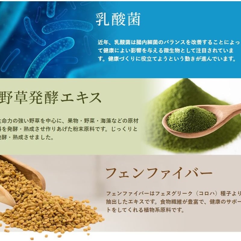 核酸ラクトザイムEX | 白鳳新薬株式会社 ネットショップ
