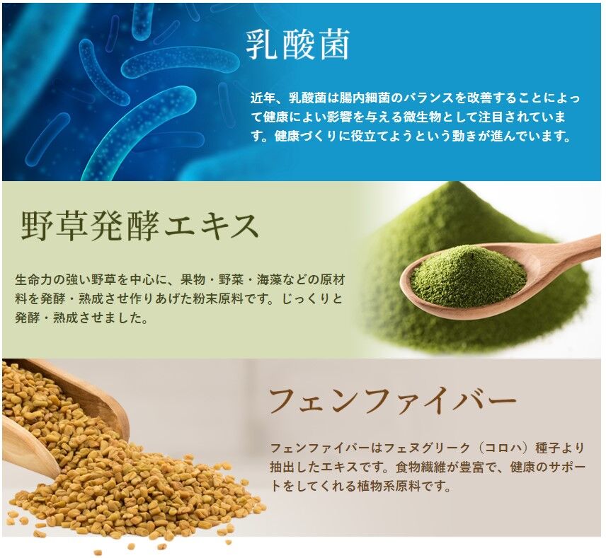 生きる核酸 マイクロ流体核酸分析 | Revvity