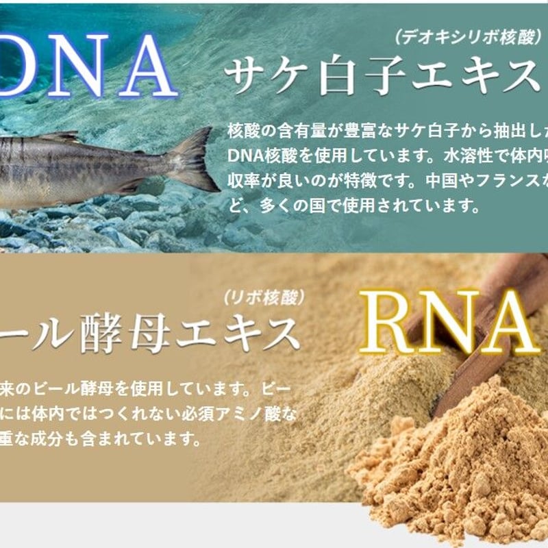 生きる核酸 Amazon | 【公式】わかさ生活 DNA核酸 3袋セット (1袋 62粒入り