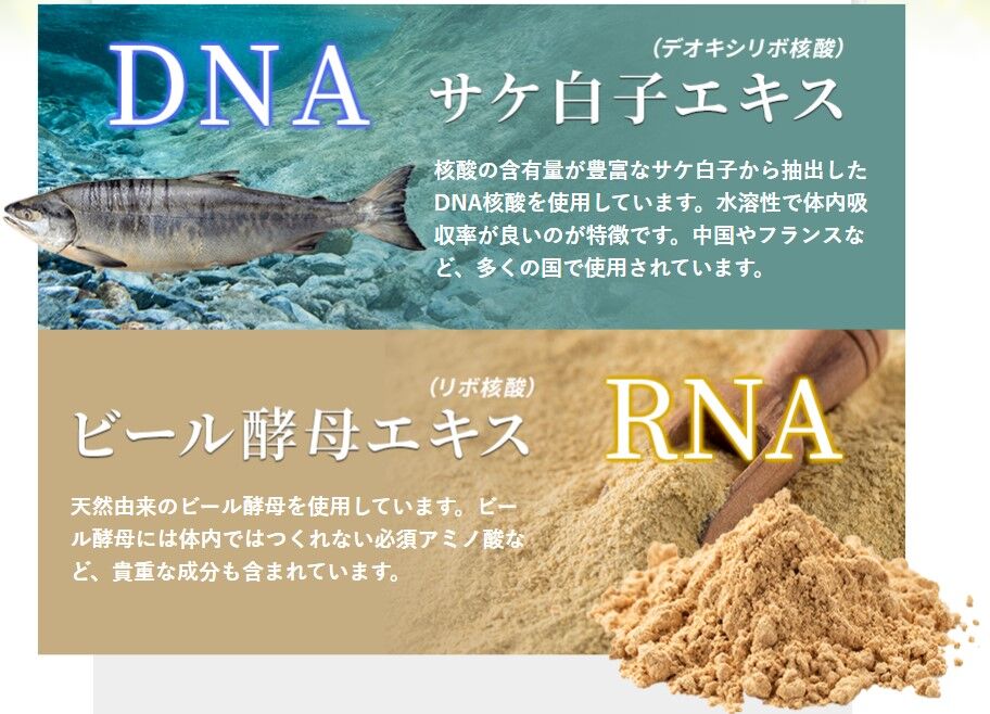 デオキリボ核酸様 リクエスト 6点 まとめ商品 核酸ラクトザイムEX | 白鳳新薬株式会社 ネットショップ