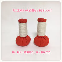 ミニ玄米ボール（オレンジ）２個セット