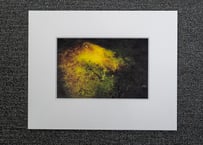 サイン入りポストカード4枚セット 4枚組】サイン入りポストカードセット | 小林商店