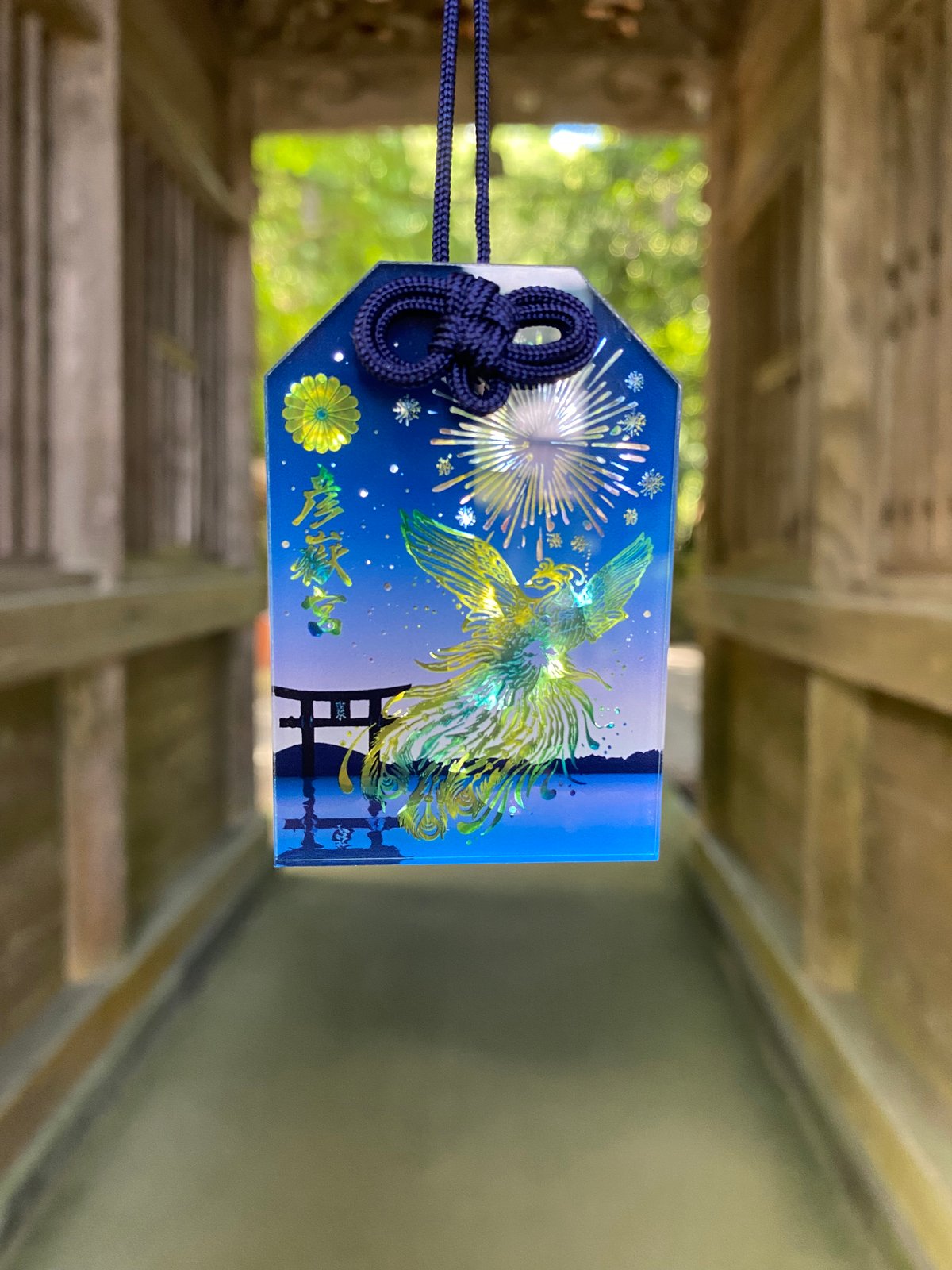 希少！美品！特大沖縄県天然星宝貝（ホシダカラ）2個セット別売り可能