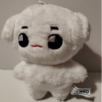 𝐂𝐡𝐞𝐞𝐭𝐚𝐡 𝐋𝐞𝐞 𝟓𝐭𝐡 チタリ 20c | babyonigirilove's STORE
