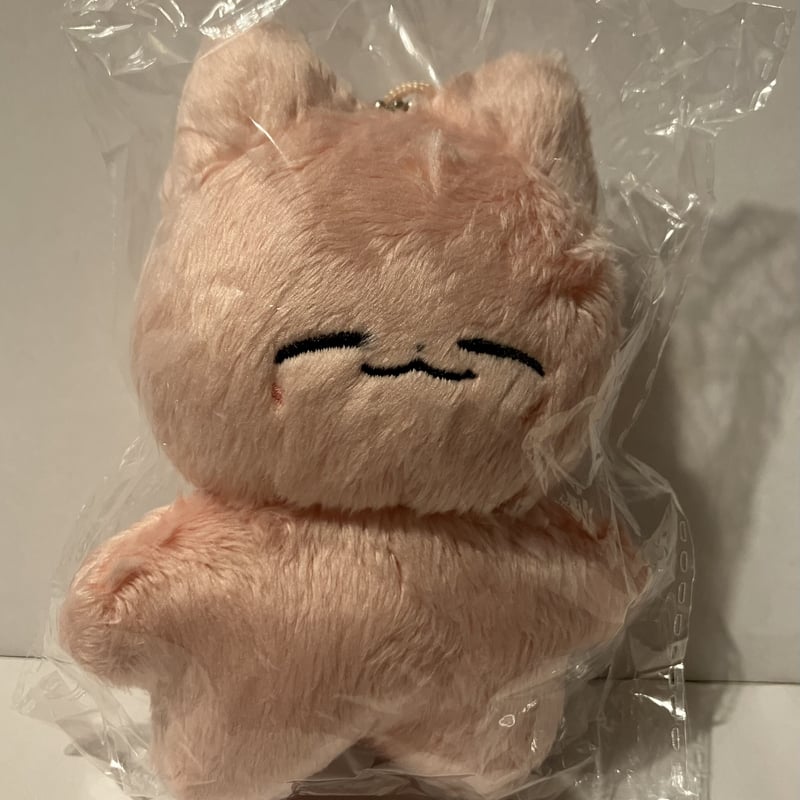 NCT ジェヒョン 잰냥 ジェンニャン😸10cm人形 NCT ジェヒョン 잰냥 ジェンニャン😸10cm人形