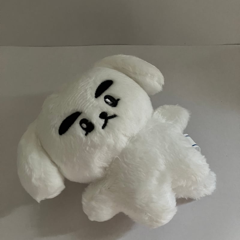 NCT WayV タクムンイ シャオジュン 10c 人形 | babyonigirilove'