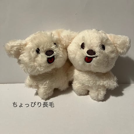 ジョンウ | STORES ジョンウ | STORES