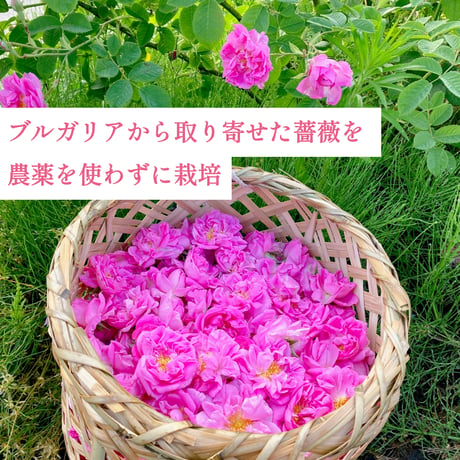 山形薔薇蒸留所 国産ローズウォーター アロマスプレー 100ml