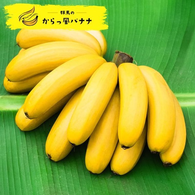 群馬のからっ風バナナ A品（4本入り） | からっ風バナナ