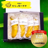 群馬のからっ風バナナ　B品４本入り