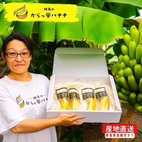 群馬のからっ風バナナ　A品（4本入り）