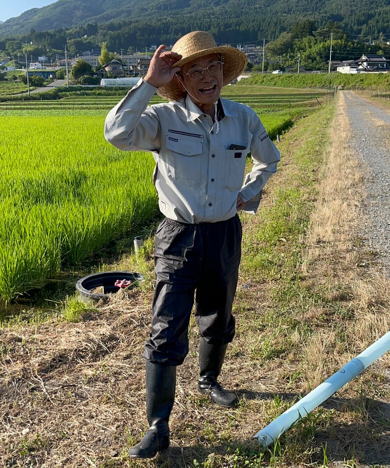 今日限定新米豊後高田市田染、30キロ四つあります。 令和7年産 【単品】たかたのゆめ 30kg | まーちゃんファーム