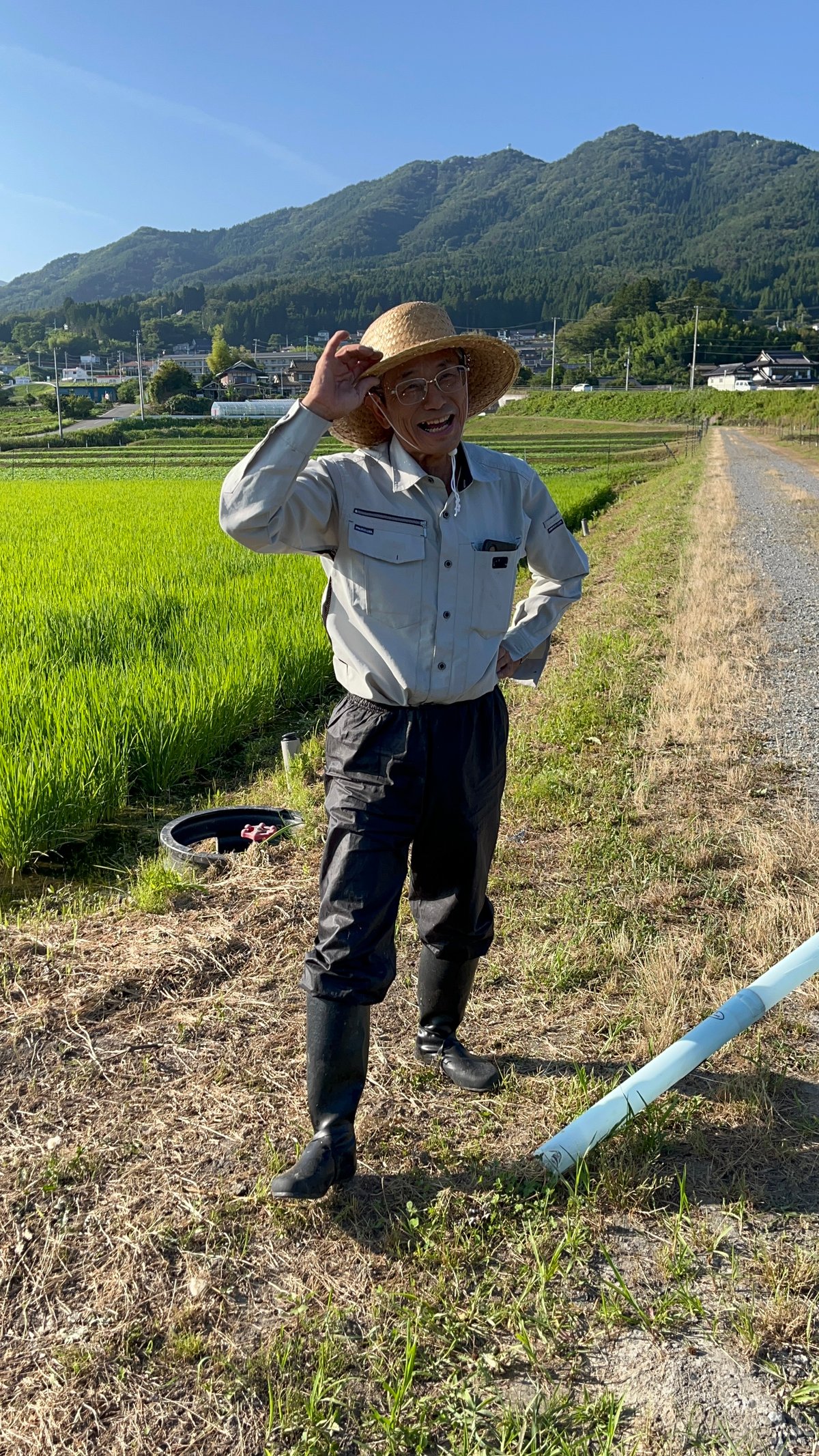 今日限定新米豊後高田市田染、30キロ四つあります。 令和7年産 【単品】たかたのゆめ 30kg | まーちゃんファーム