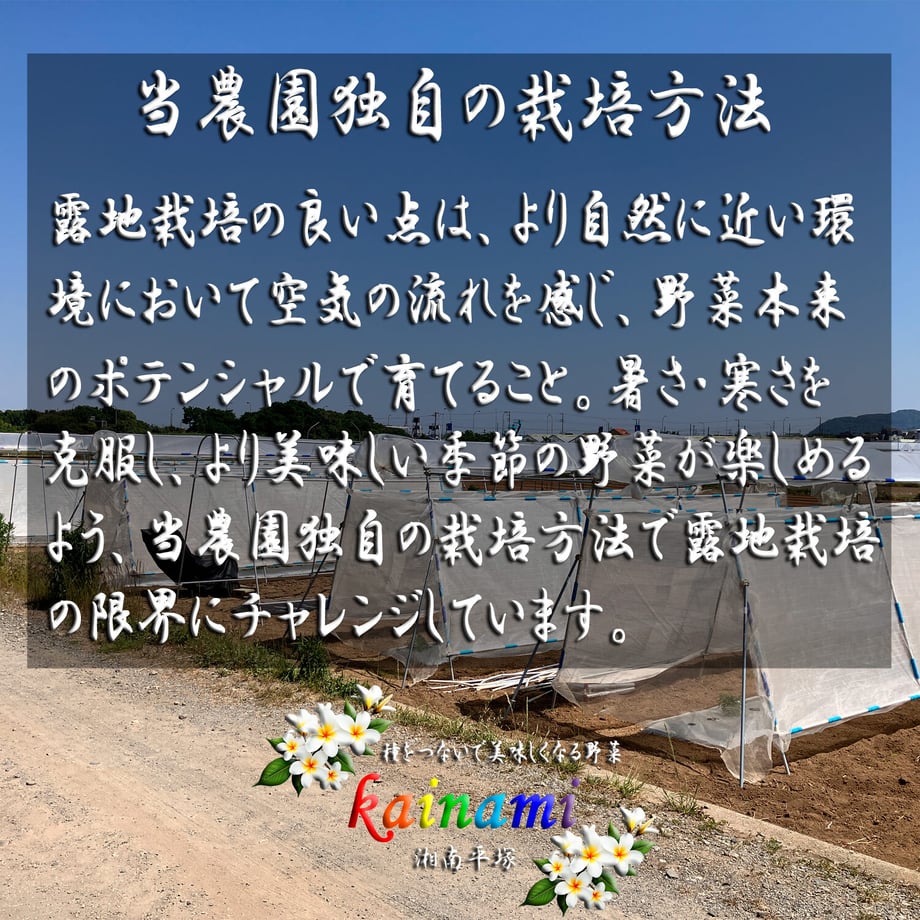 6a956256d9523091e021876d