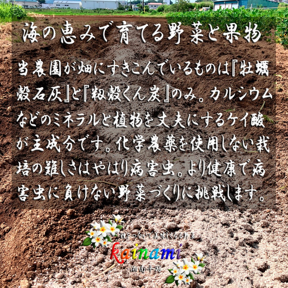 6a9572a8ab0a12efd7c82680