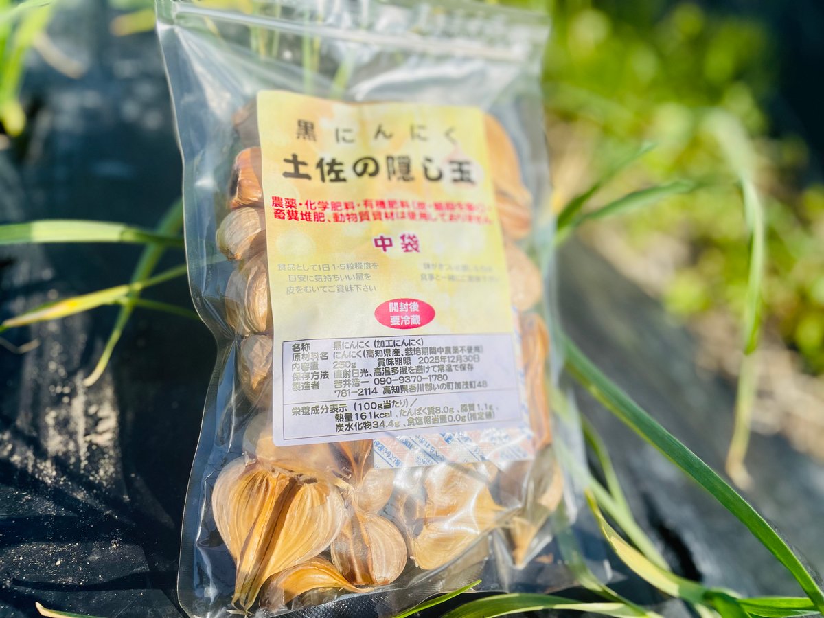 自然栽培 黒にんにく土佐の隠し玉中袋1袋＋金色の手作り蒸し生姜