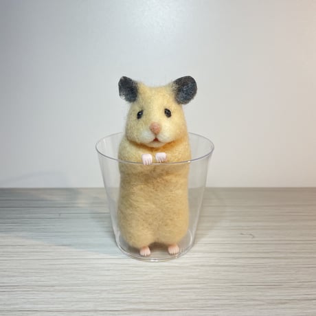 カップハムスター
