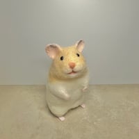 1055